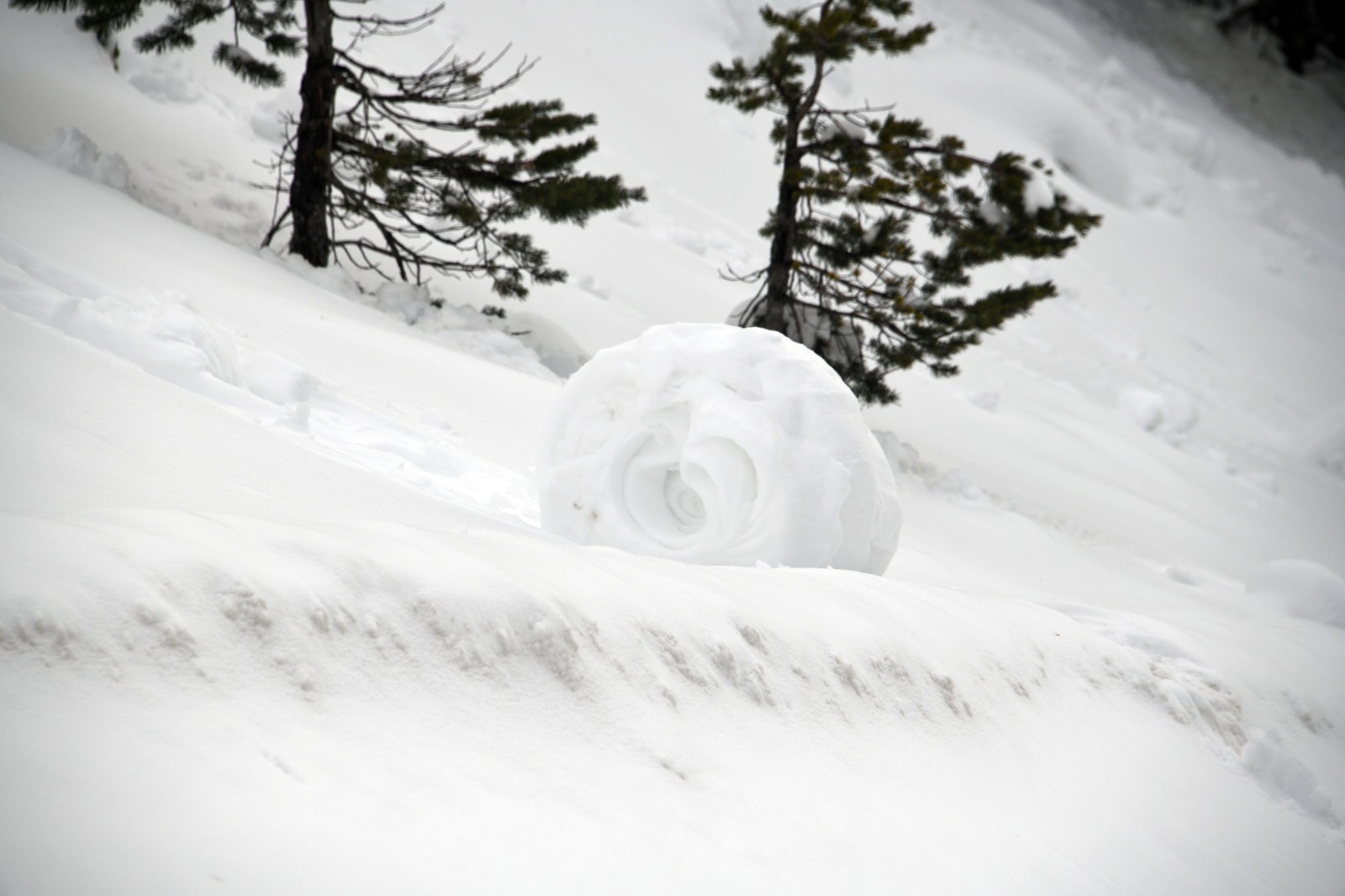 Ilgaz Dağı'nda Nadir Görülen Olay Kar Ruloları Oluştu 12