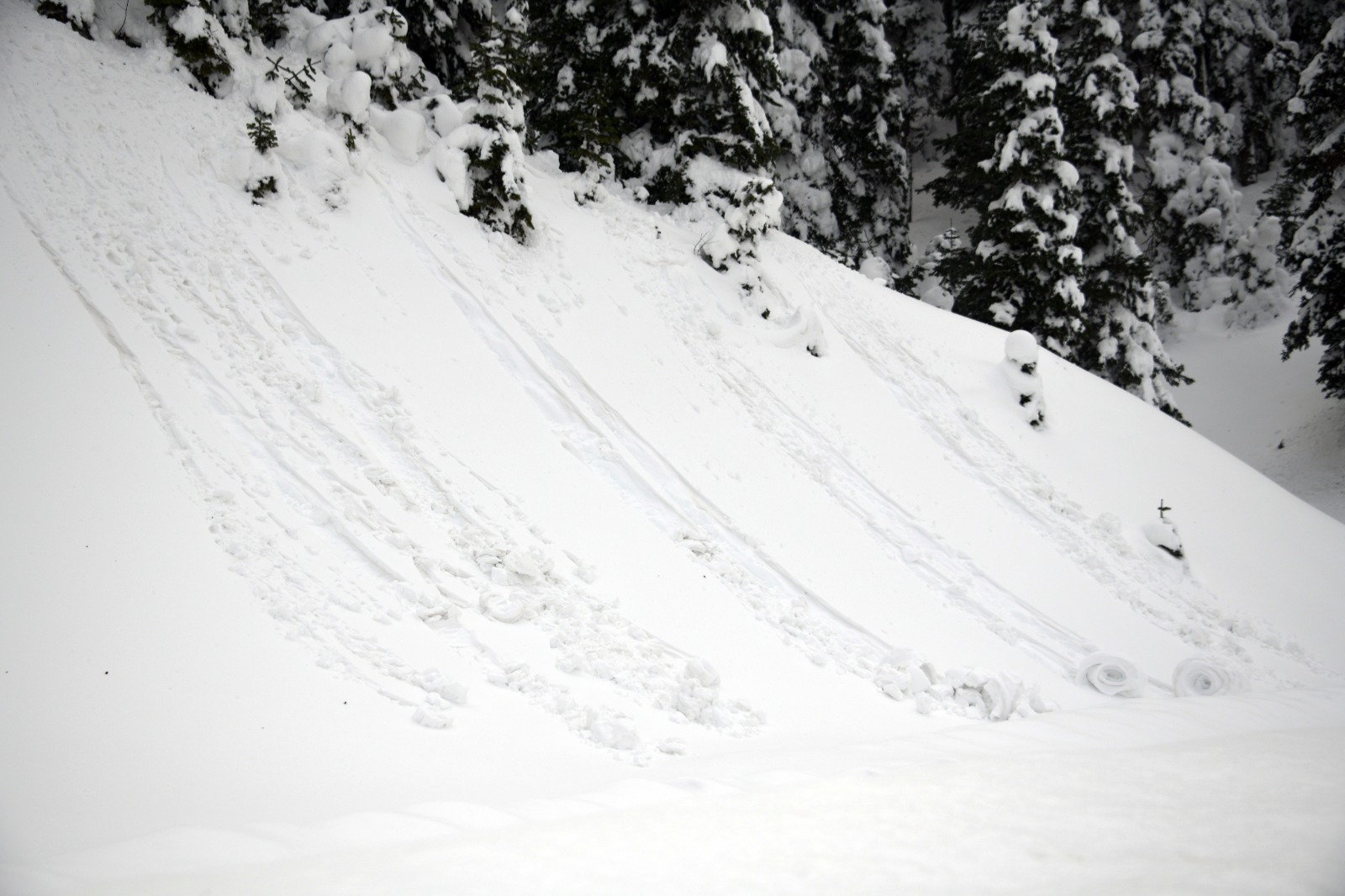 Ilgaz Dağı'nda Nadir Görülen Olay Kar Ruloları Oluştu 6