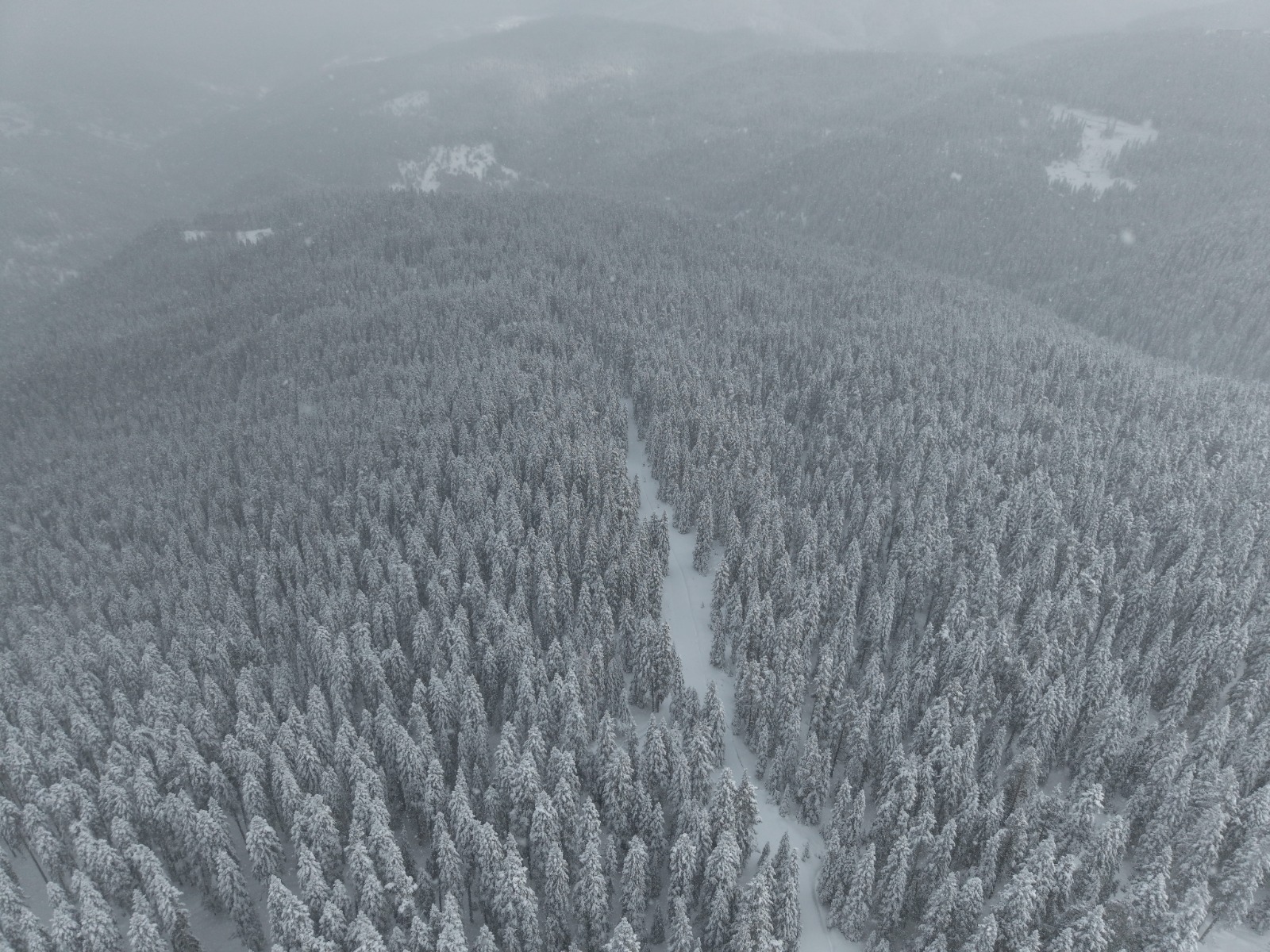 Ilgaz Dağı'nın Karlı Ormanları Havadan Görüntülendi 2