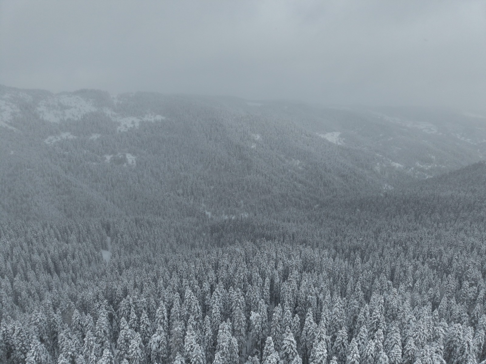 Ilgaz Dağı'nın Karlı Ormanları Havadan Görüntülendi 8