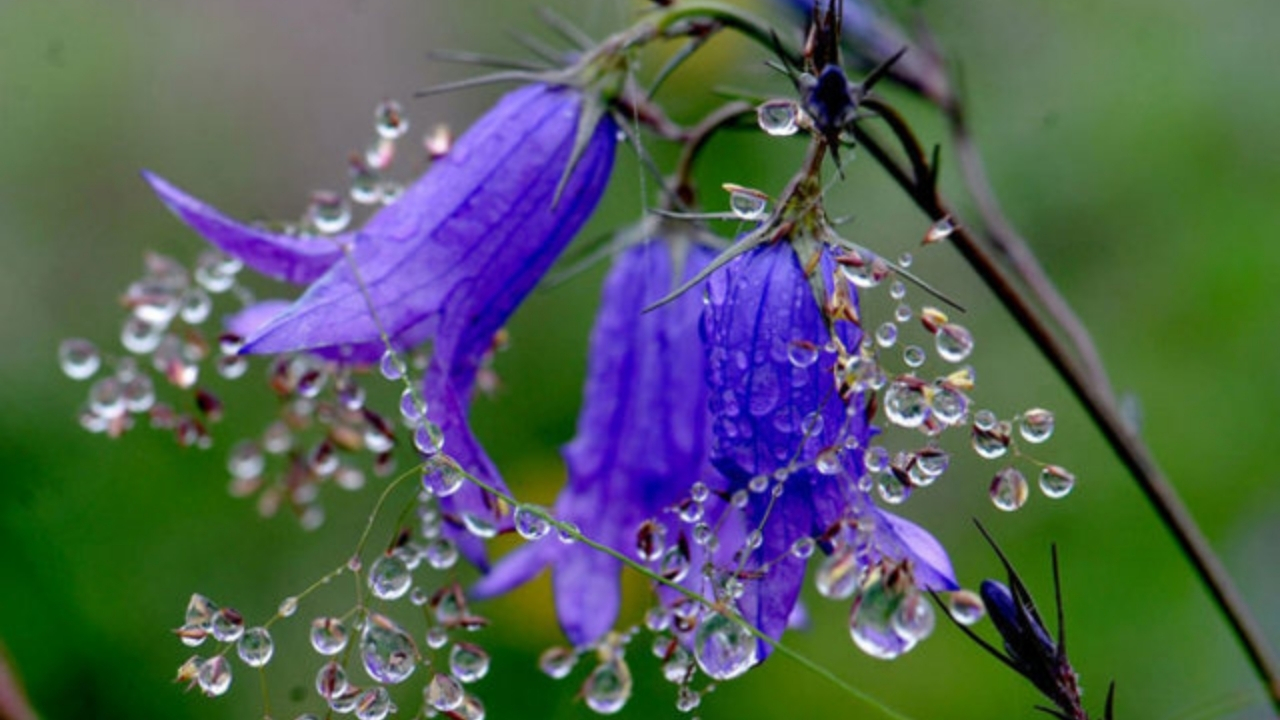 İlk Cemre Için Geri Sayım 2026’Da Cemreler Hangi Günlerde Düşecek (1)