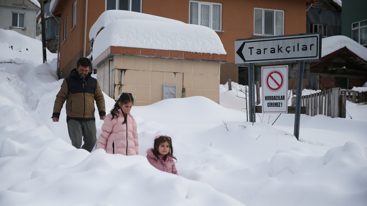 İmam Rıfat Şahin Kedi Besleme (1)