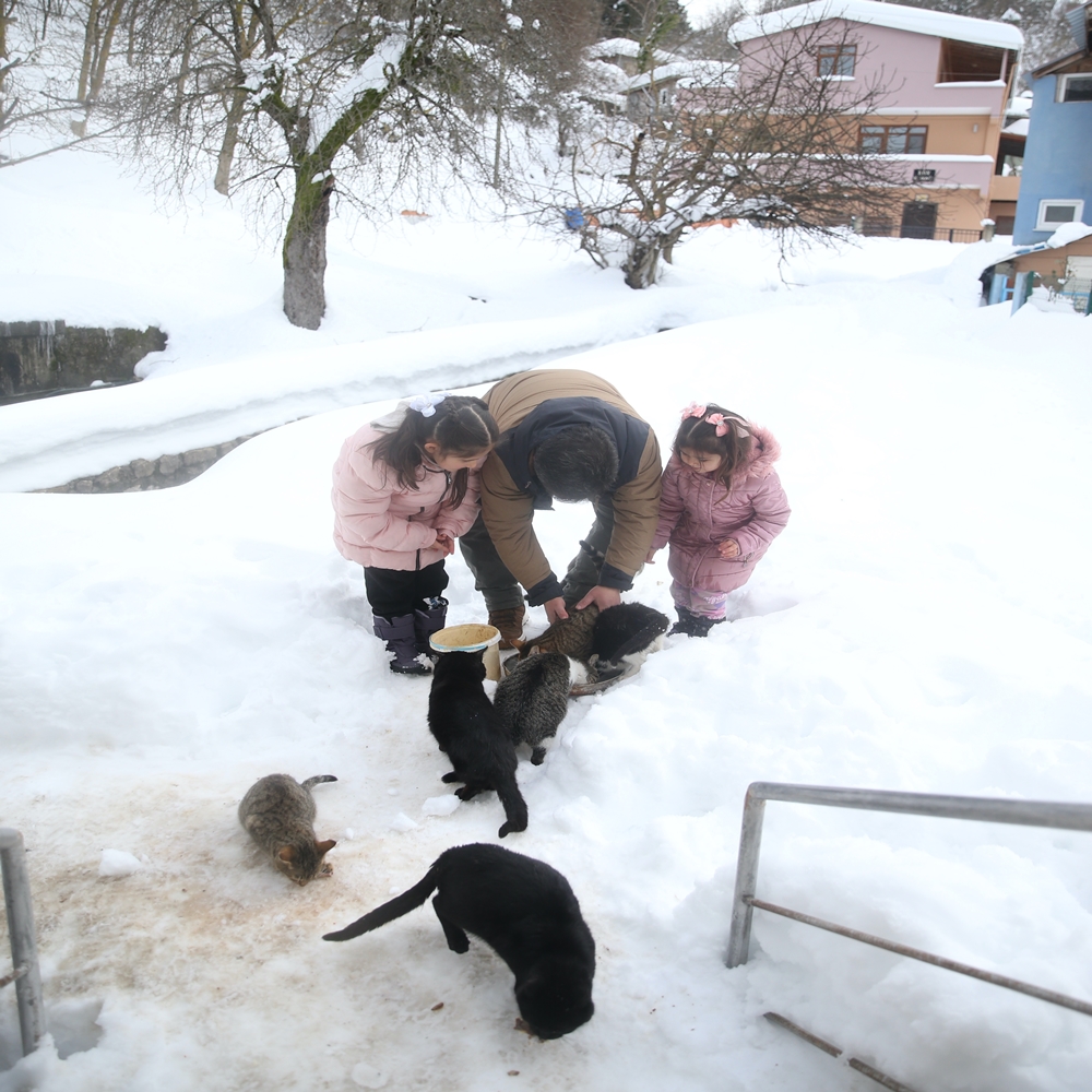 İmam Rıfat Şahin Kedi Besleme (10)