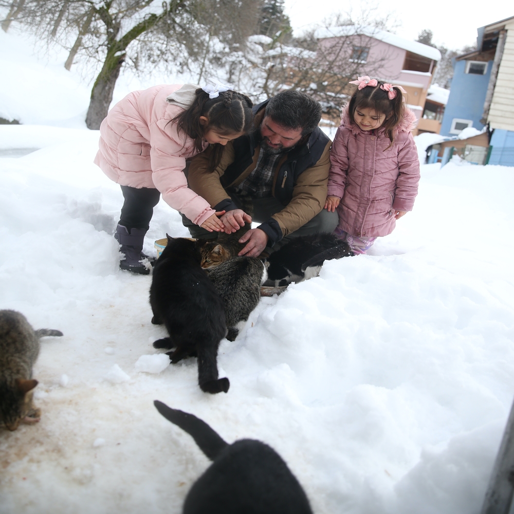 İmam Rıfat Şahin Kedi Besleme (11)