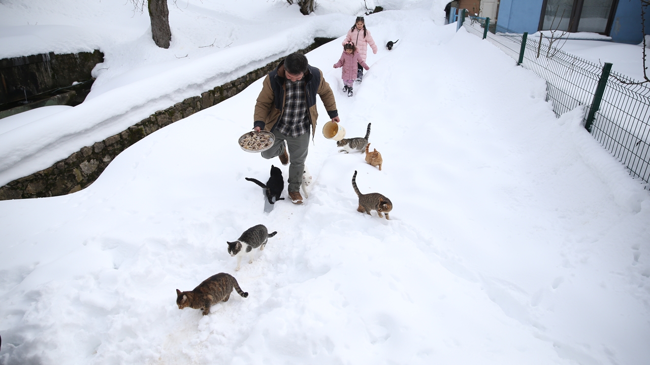 İmam Rıfat Şahin Kedi Besleme (9)