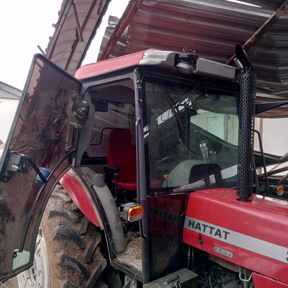 Karabük Mandıra Çöktü Buğday (2)