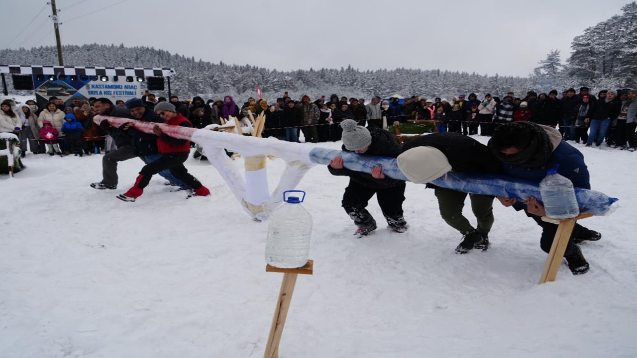 Kastamonu Araç Kış Festivali Fotolar (4)