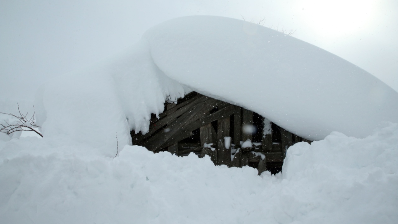 Kastamonu Dağ Köyleri Kürekli Mücadele (9)