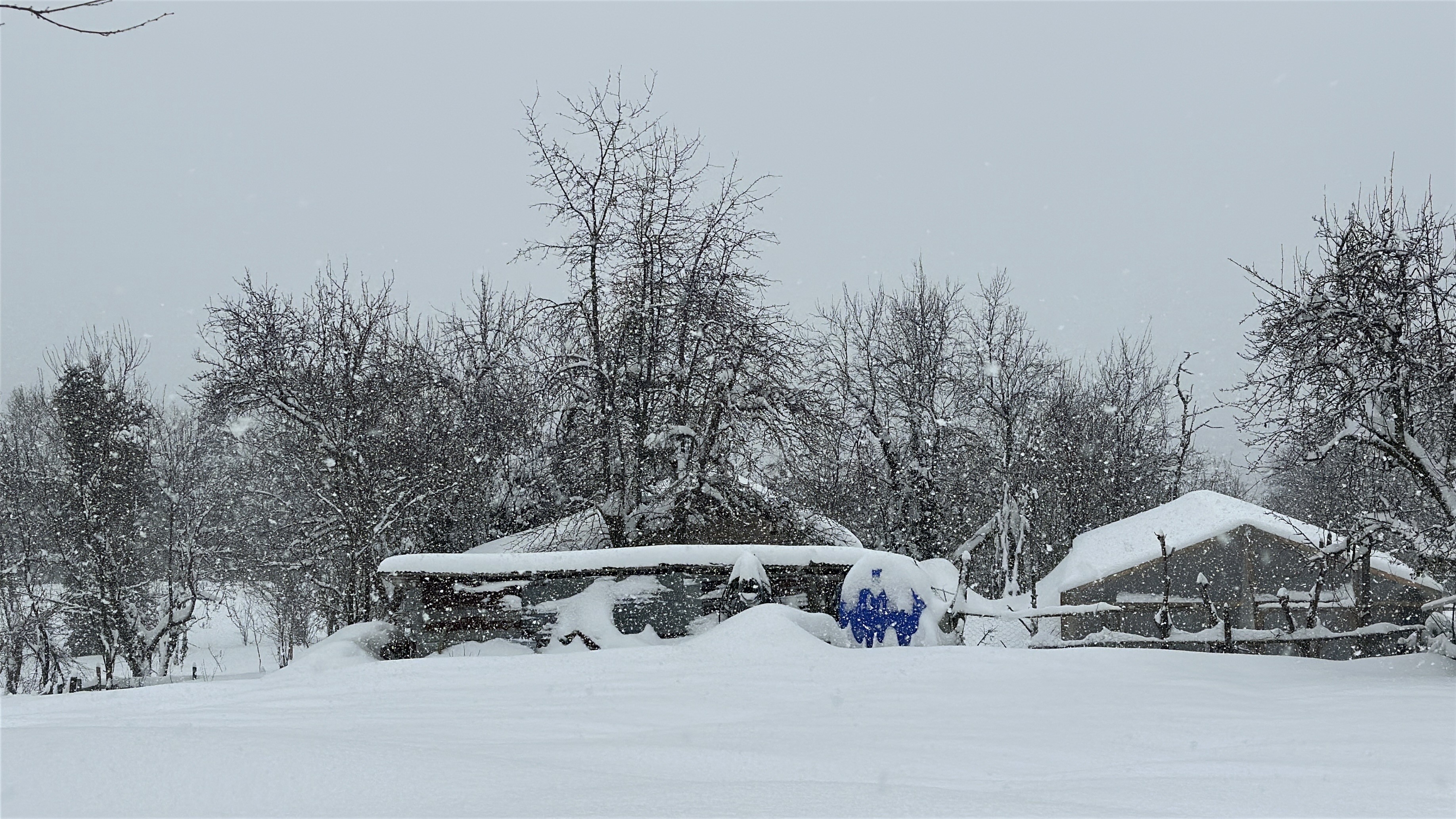 Kastamonu Dikkat Batı Karadeniz’de Kuvvetli Kar Alarmı!2