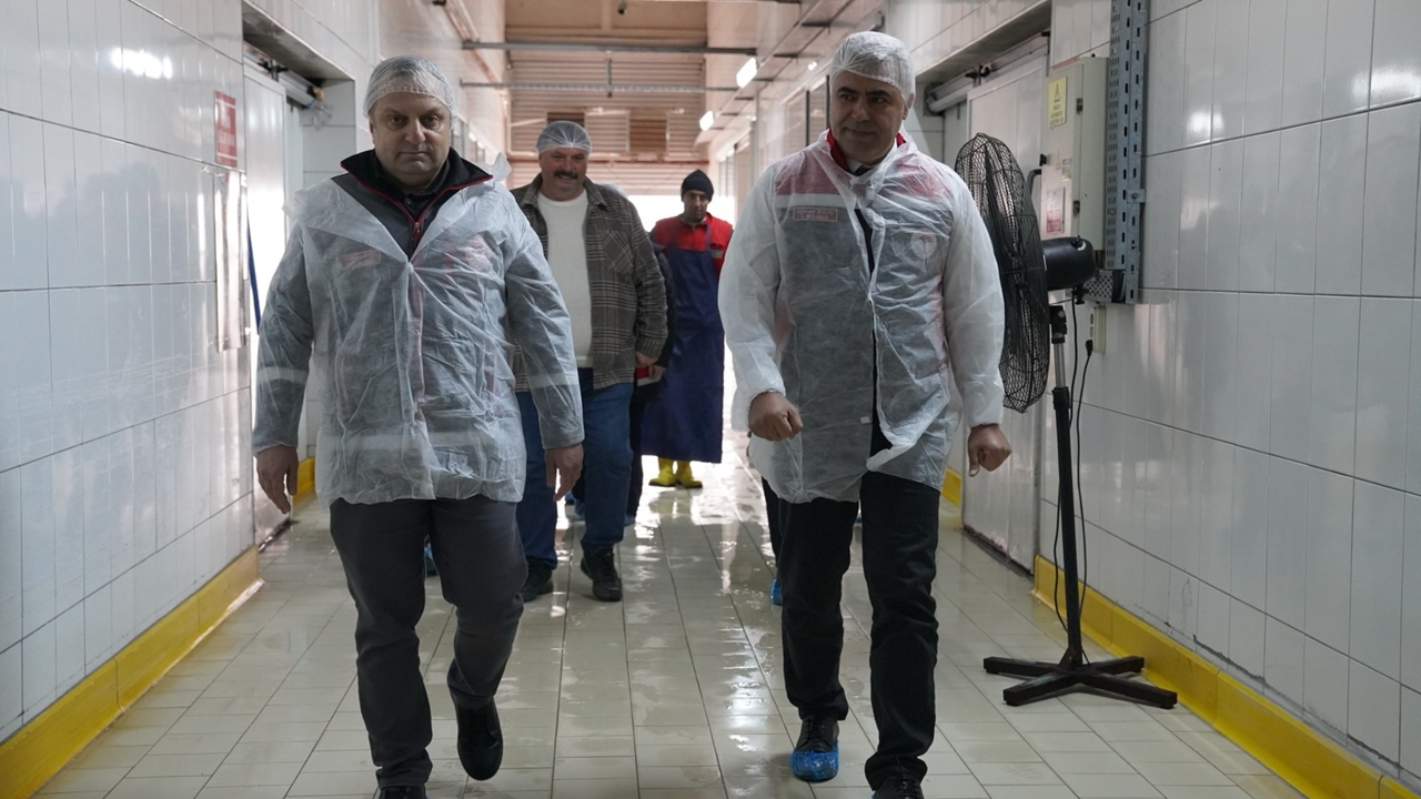 Kastamonu Et Ve Gıda Denetim Müdür (2)