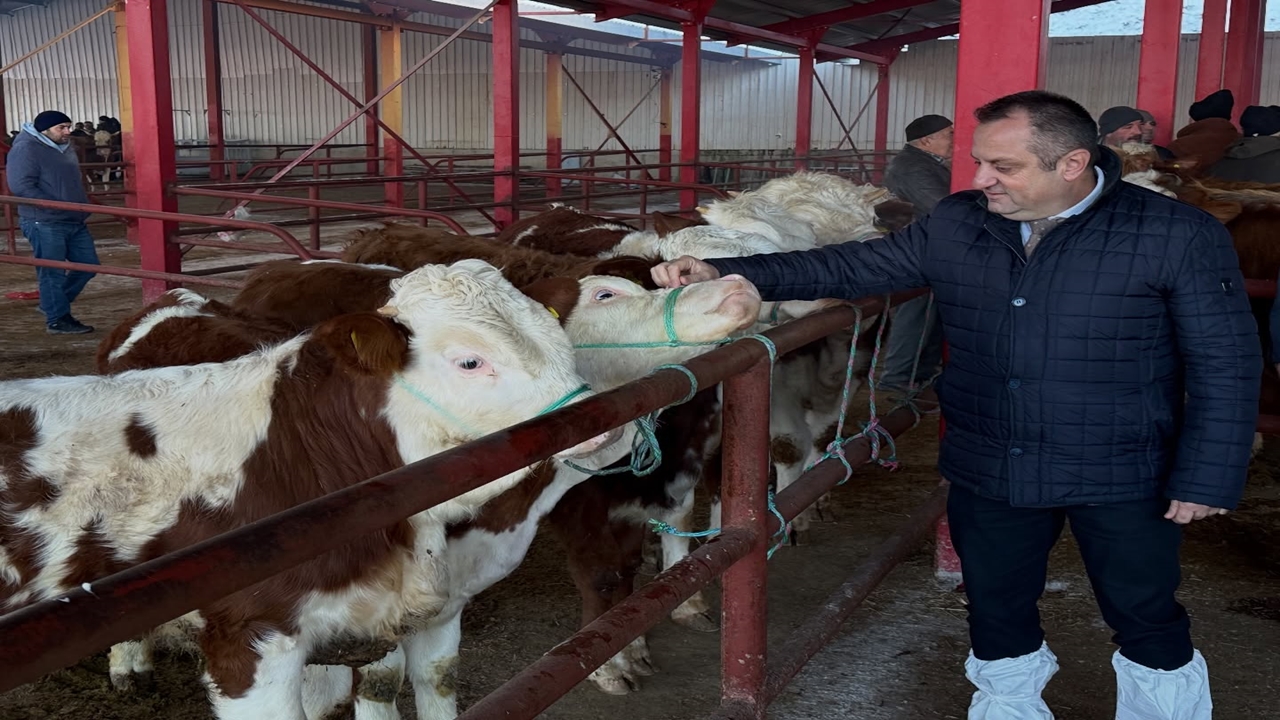 Kastamonu Hayvan Pazarı Açıldı Şap (5)