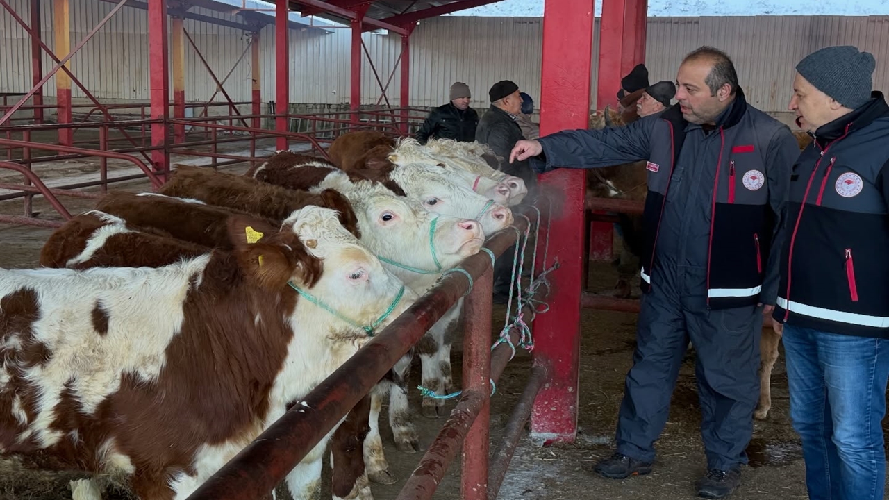 Kastamonu Hayvan Pazarı Açıldı Şap (6)