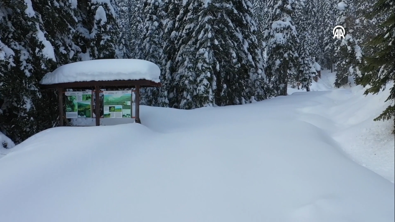 Kastamonu Ilgaz Dağı Havadan Görüntü Kar Kış (1)