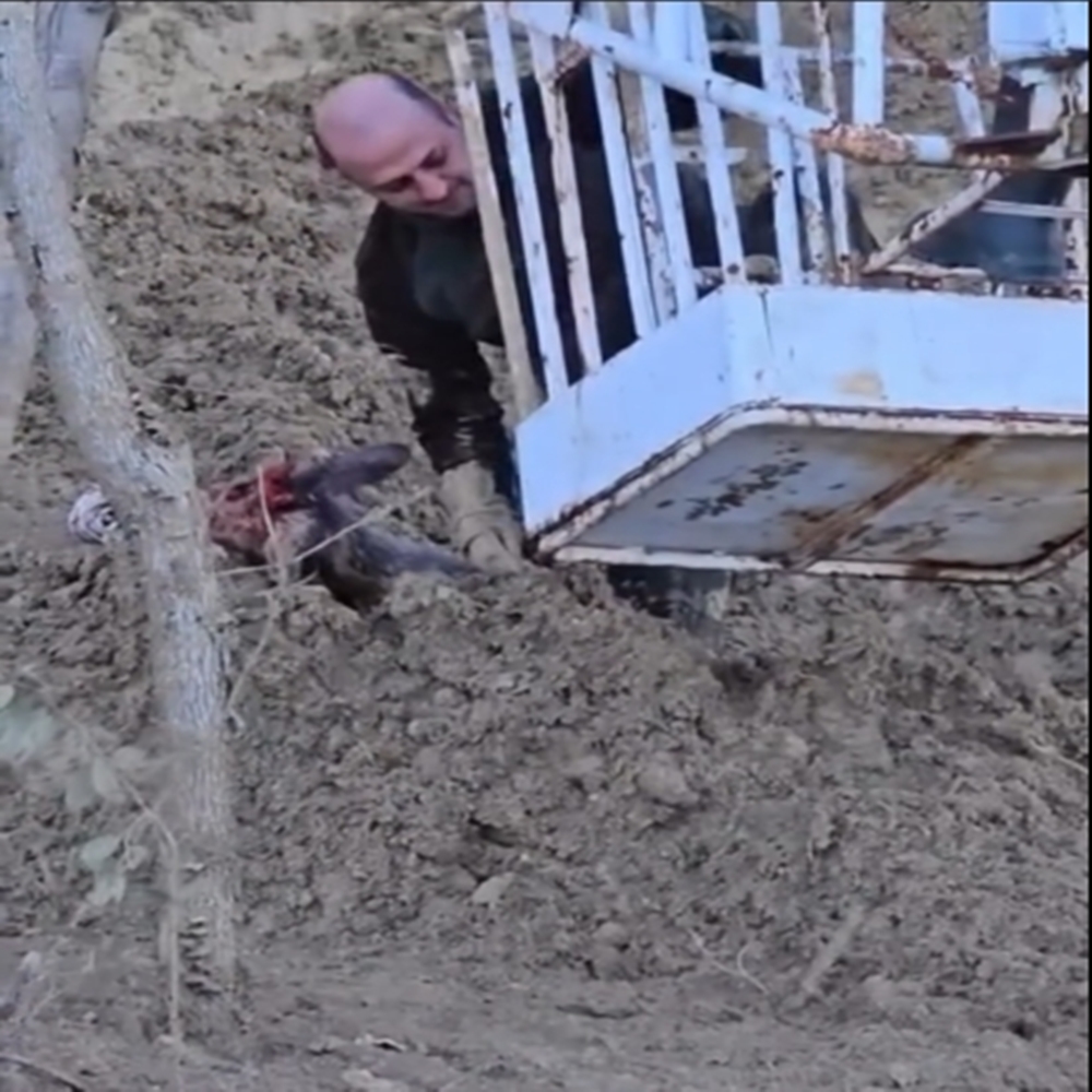 Kastamonu Karaca Çamur Saplandı (2)