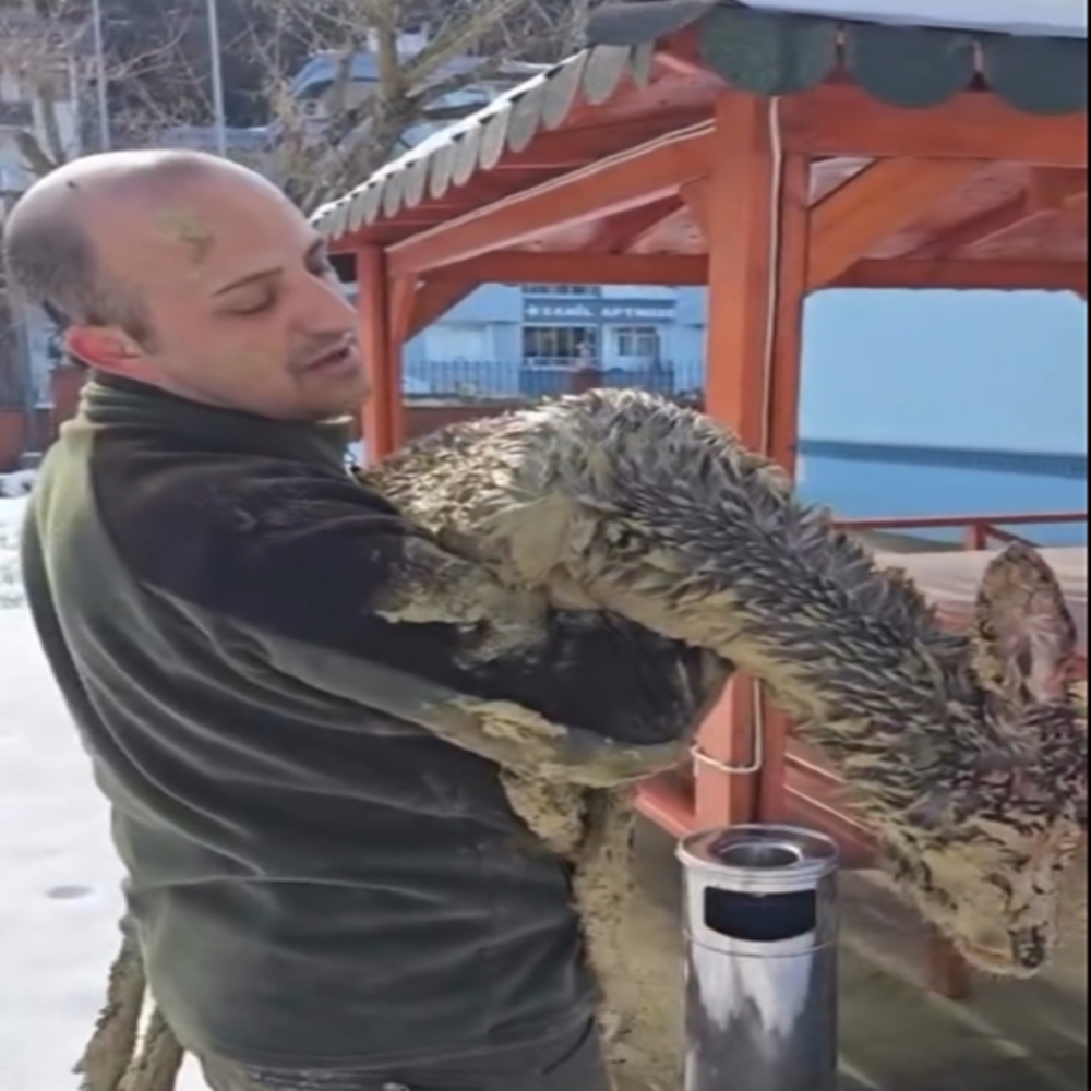 Kastamonu Karaca Çamur Saplandı (3)