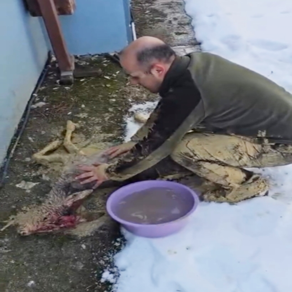 Kastamonu Karaca Çamur Saplandı (4)