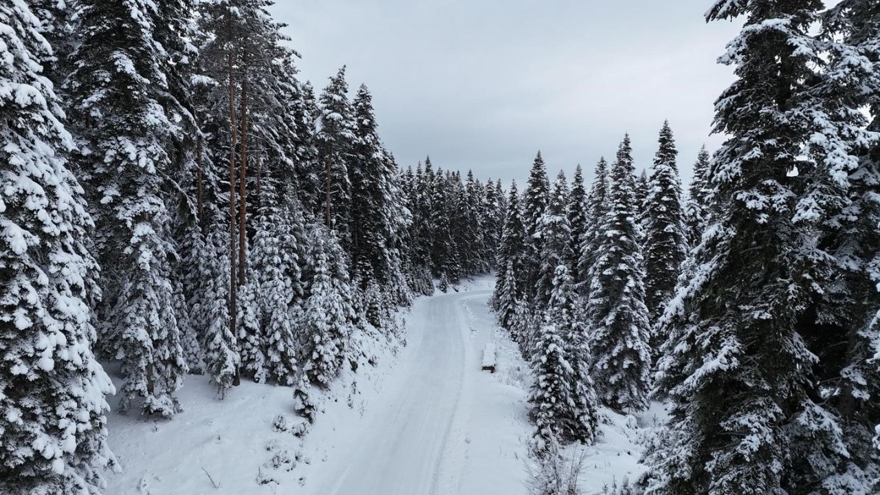 Kastamonu Ormanları Karla Beyaza Büründü Manzara Büyüledi (3)