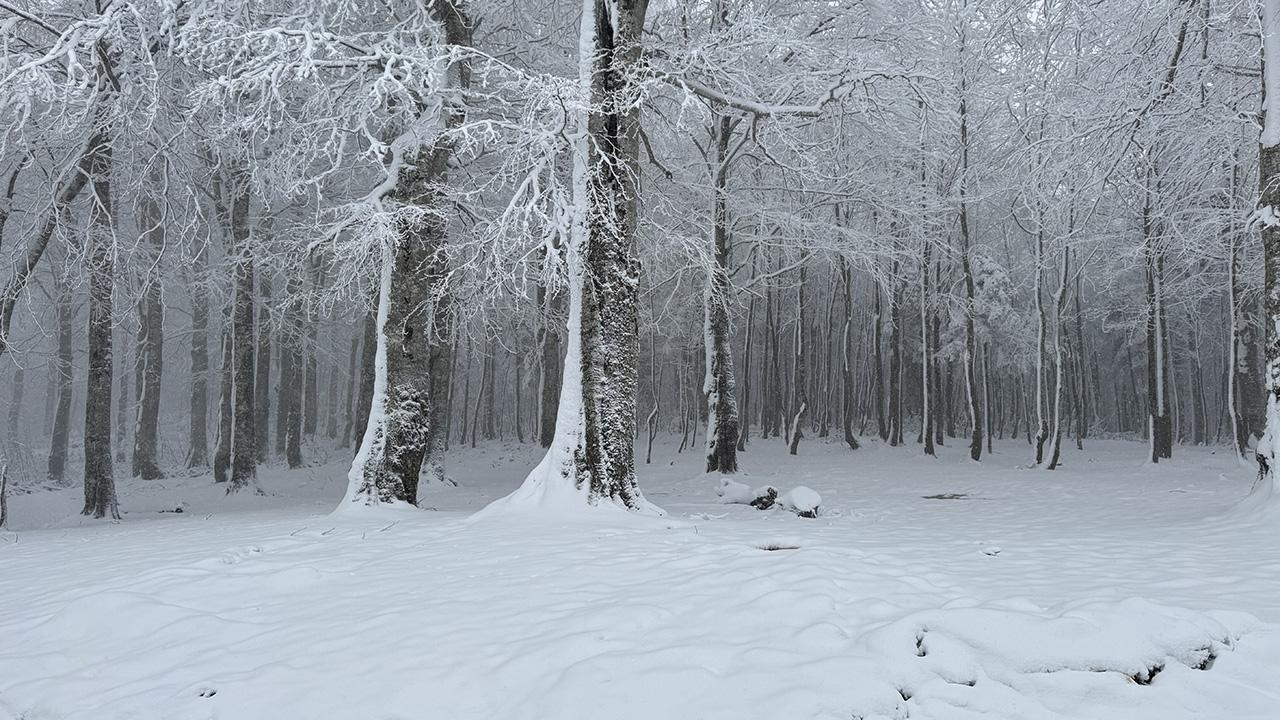 Kastamonu, Sinop, Bartın Için Mgm’den Kritik Uyarı Saat Verildi (2)