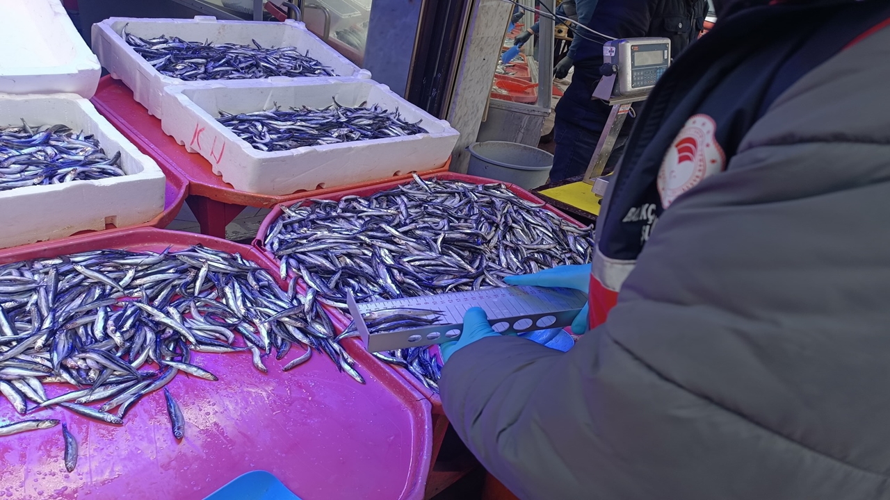 Kastamonuda Balıklara El Konuldu (3)