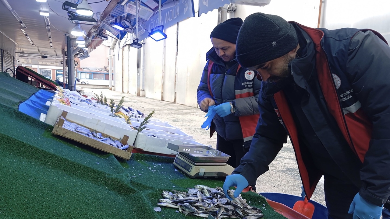 Kastamonuda Balıklara El Konuldu (4)