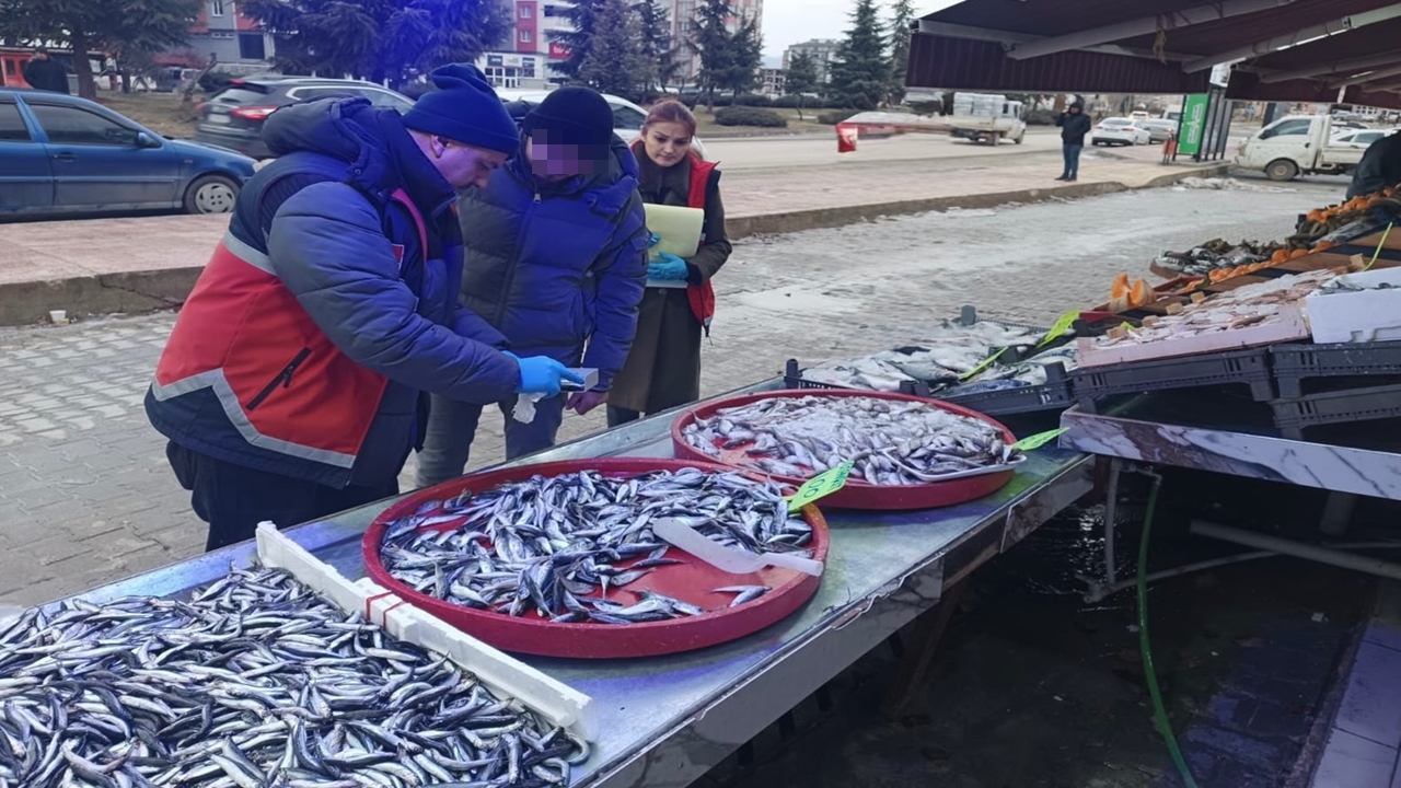 Kastamonuda Balıklara El Konuldu (5)