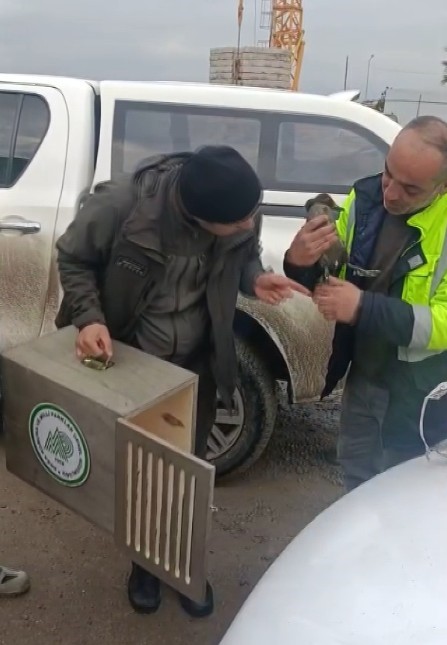 Kastamonu'da Yaralı Ördek Buldu Çocuğu Gibi Baktı! 8