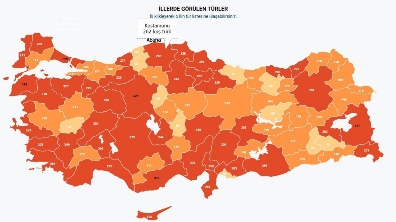 Kastamonu’dan Kerti̇k 2025’E Anlamlı Başarı (2)