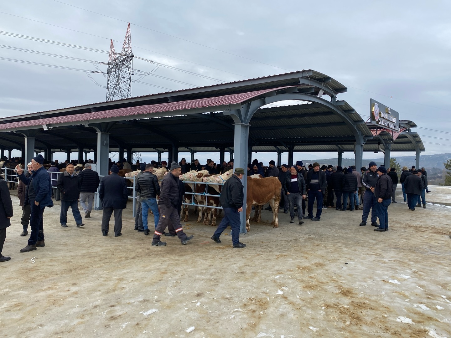 Kastamonu'nun Ilçesinde Yeni 'Canlı Hayvan Pazarı' Hizmete Açıldı 5