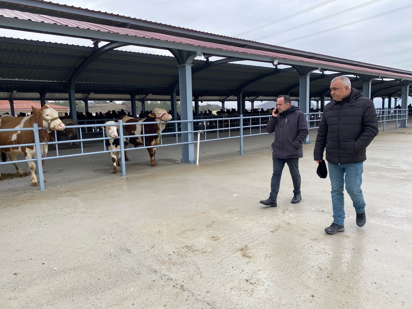 Kastamonu'nun Ilçesinde Yeni 'Canlı Hayvan Pazarı' Hizmete Açıldı 6