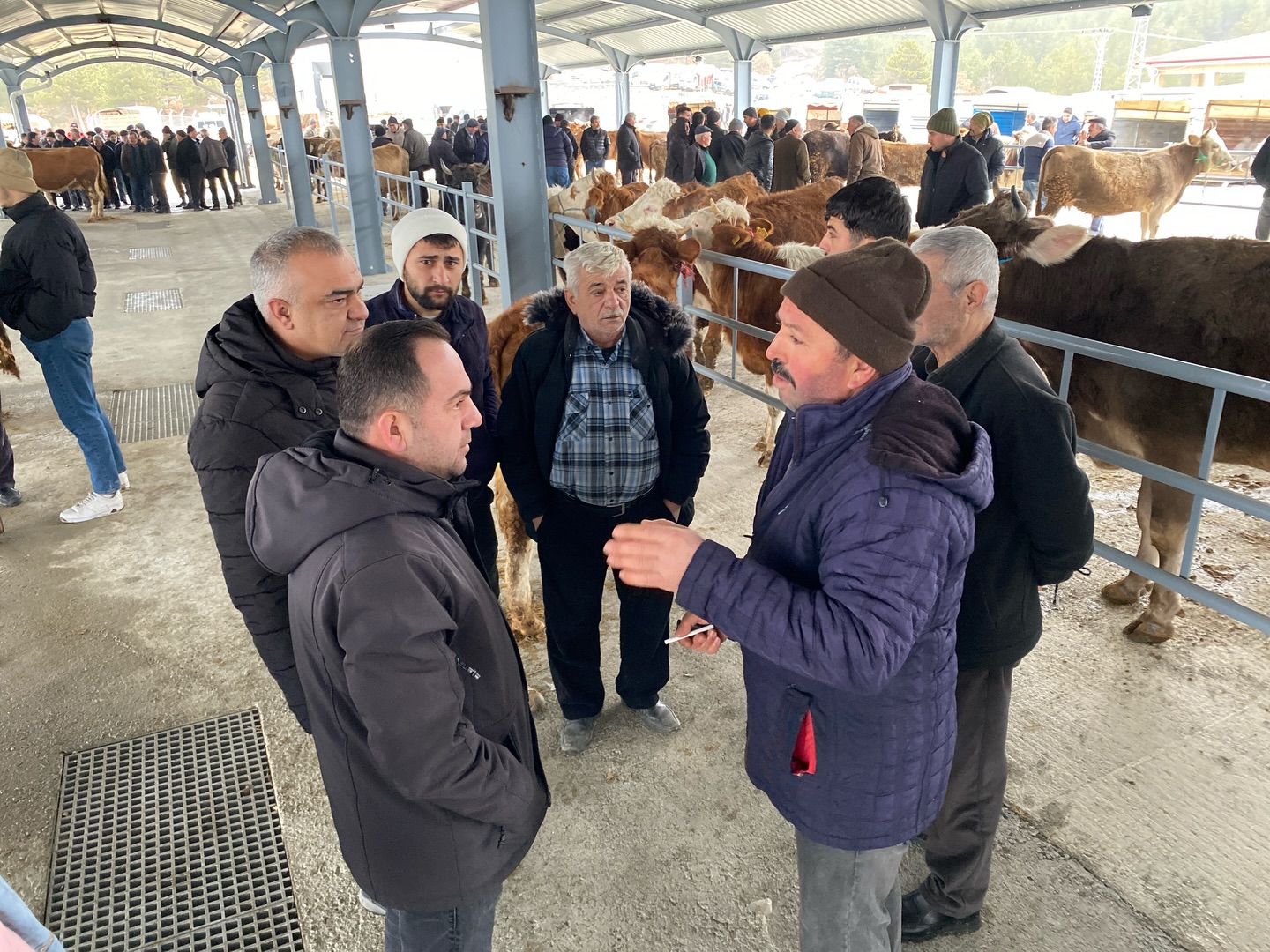 Kastamonu'nun Ilçesinde Yeni 'Canlı Hayvan Pazarı' Hizmete Açıldı 7