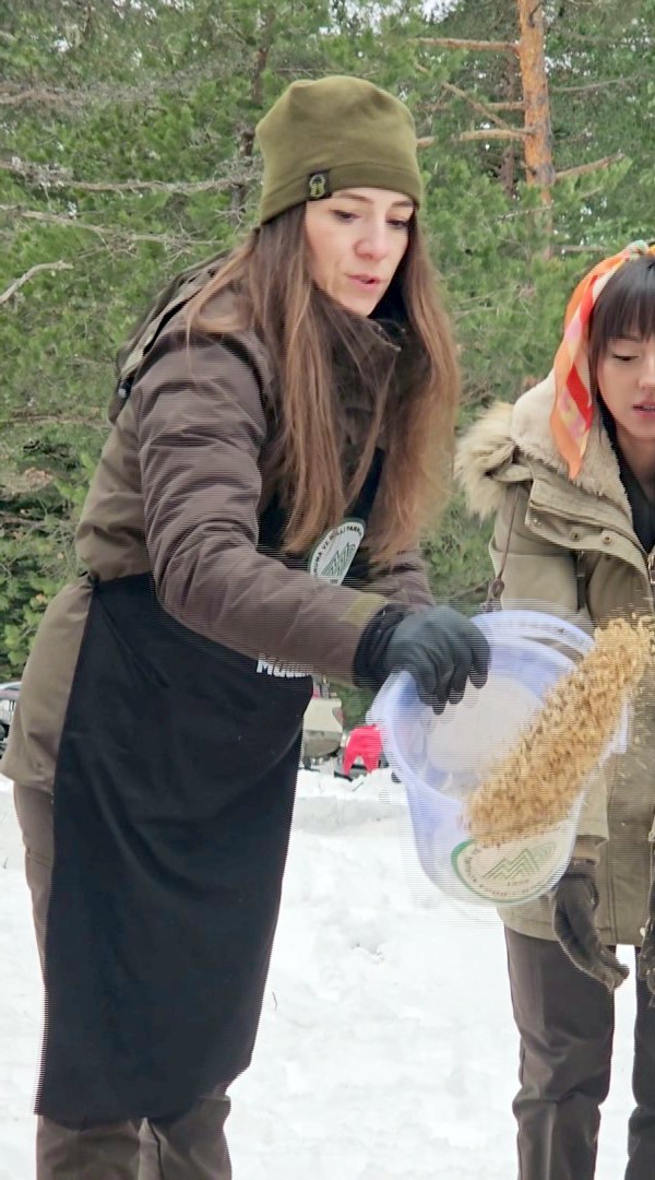 Kastamonu'nun Karla Kaplı Ormanlarına Yiyecek Bırakıldı 2