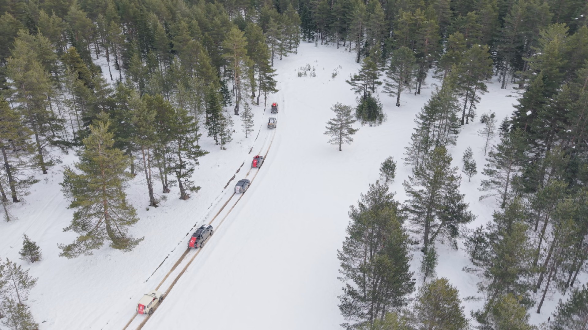 Kastamonu'nun Karla Kaplı Ormanlarına Yiyecek Bırakıldı 5
