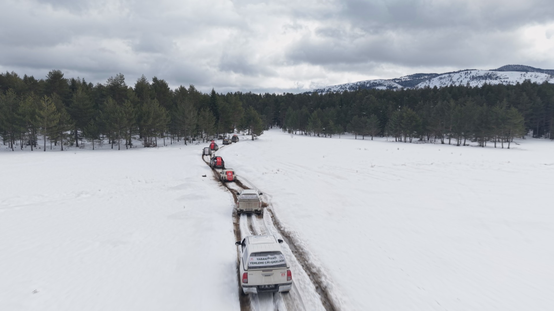 Kastamonu'nun Karla Kaplı Ormanlarına Yiyecek Bırakıldı 6
