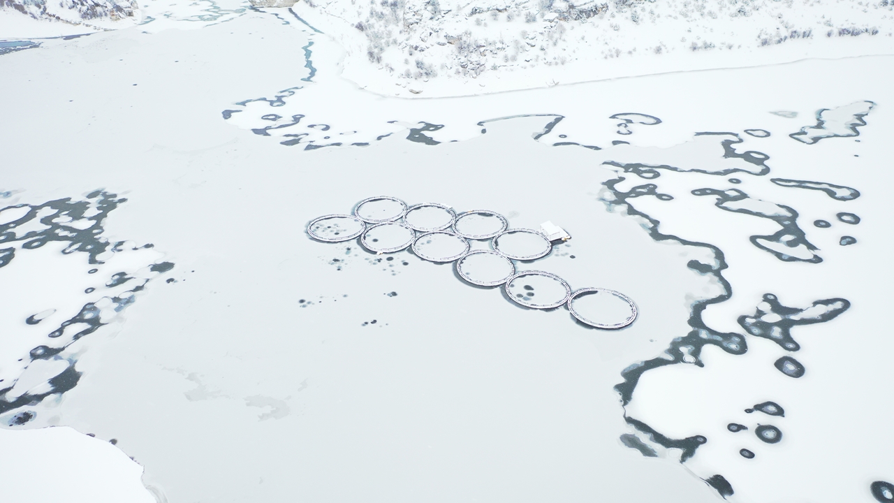 Kulaksızlar Barajı Buz Tuttu (4)