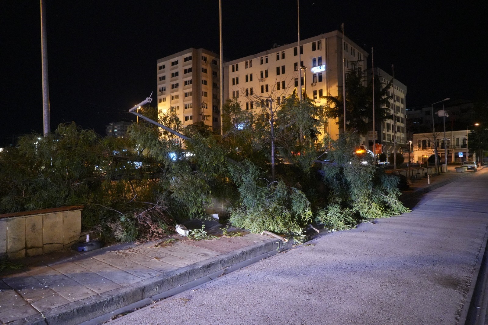 Şiddetli Fırtına Ağaçları Devirdi, Çatıları Uçurdu 6
