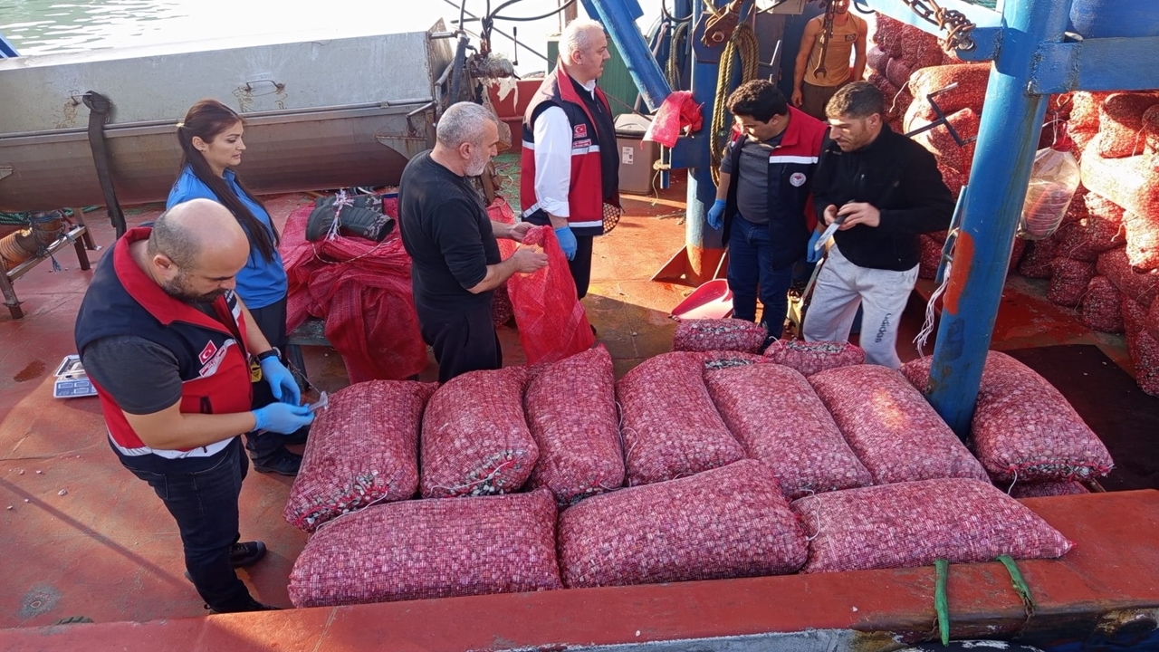 Tarım Midye Operasyou (3)