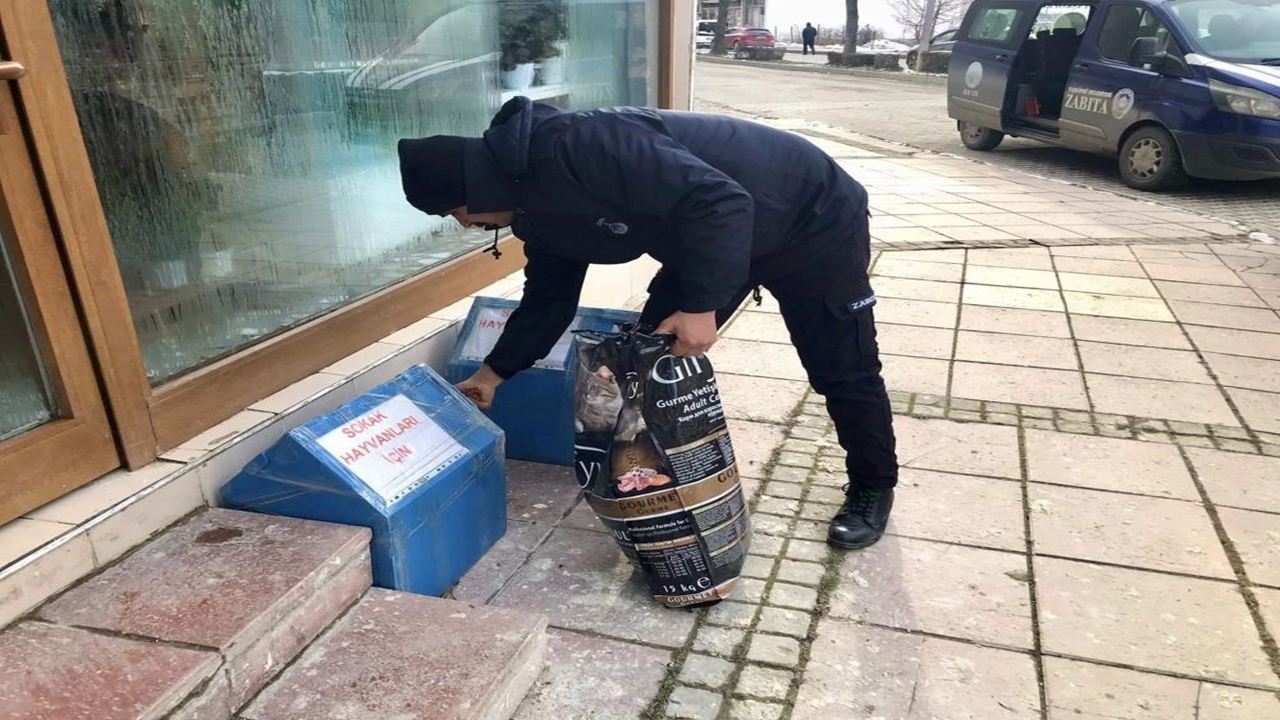 Taşköprü Belediyesi Sokak Hayvanları (1)