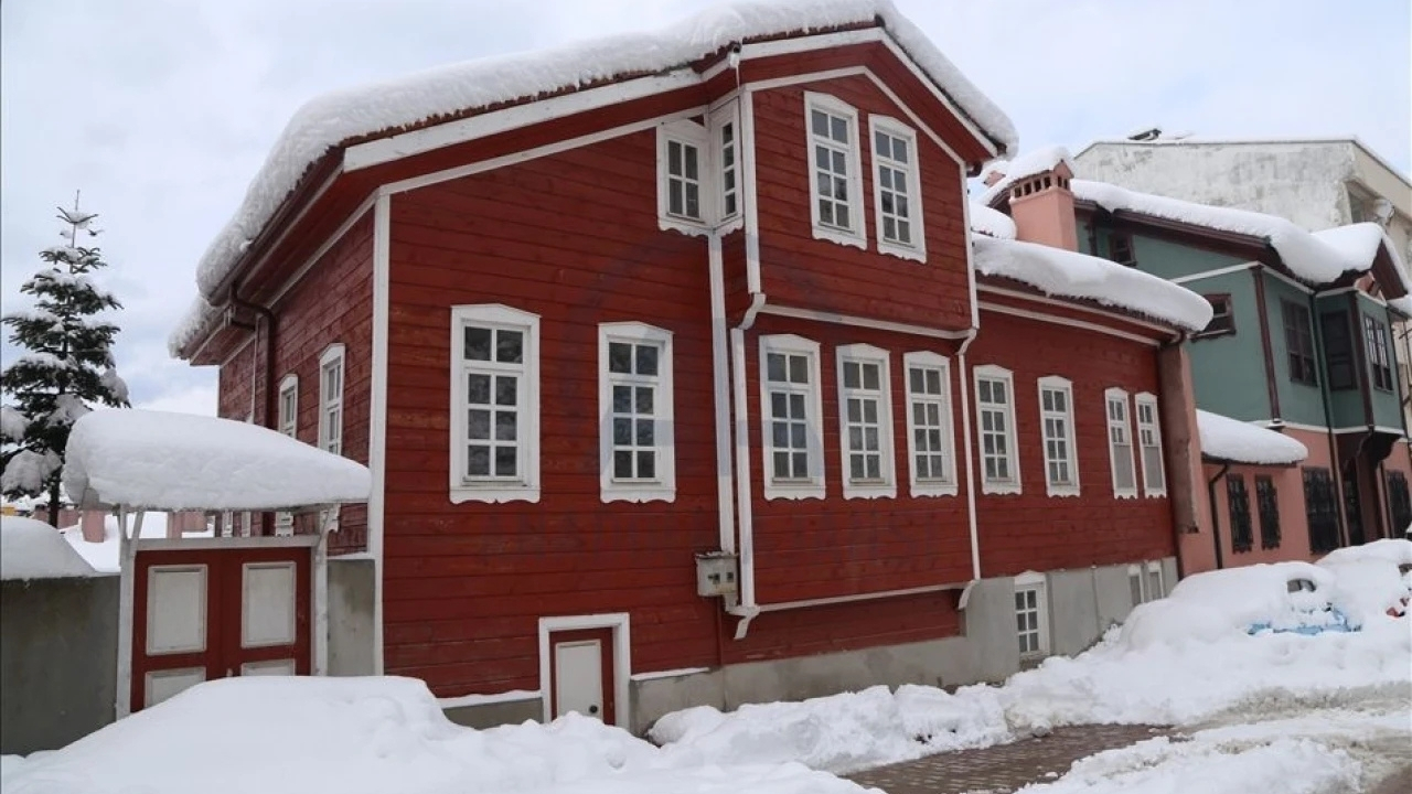 Türkiye’de 7 Tane Var 1 Tanesi De Kastamonu'da (2)