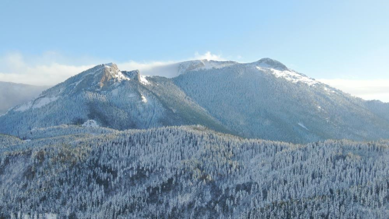 Yaralıgöz Karlı Dağlar (1)