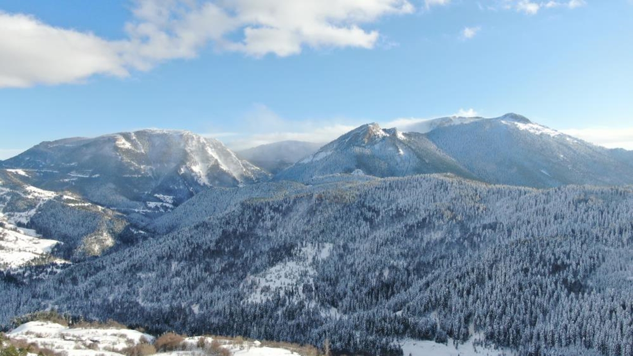 Yaralıgöz Karlı Dağlar (5)