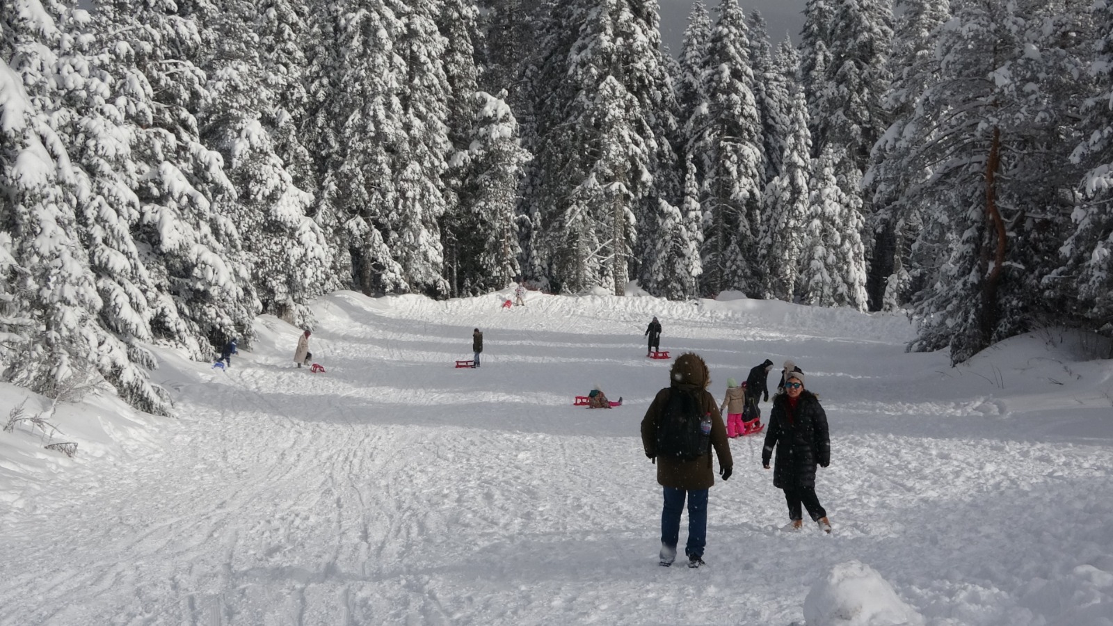 Yarıyıl Tatilinde Ilgaz Dağı'nda Yoğunluk Öğrenciler Stres Attı 11