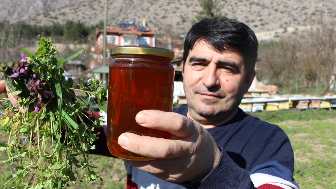 Arılar Arasında Siyasi Rekabet En Dolu Petek Kazandı1