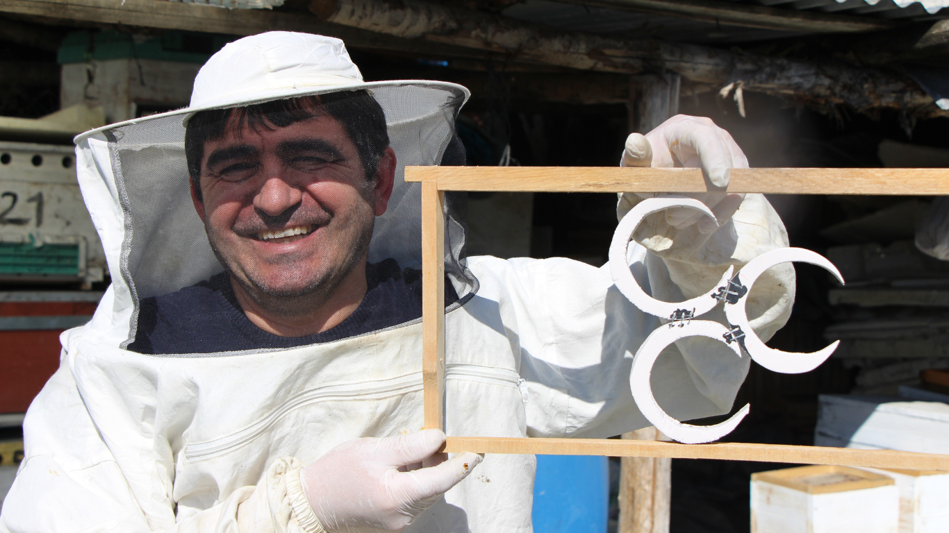 Arılar Arasında Siyasi Rekabet En Dolu Petek Kazandı3-1