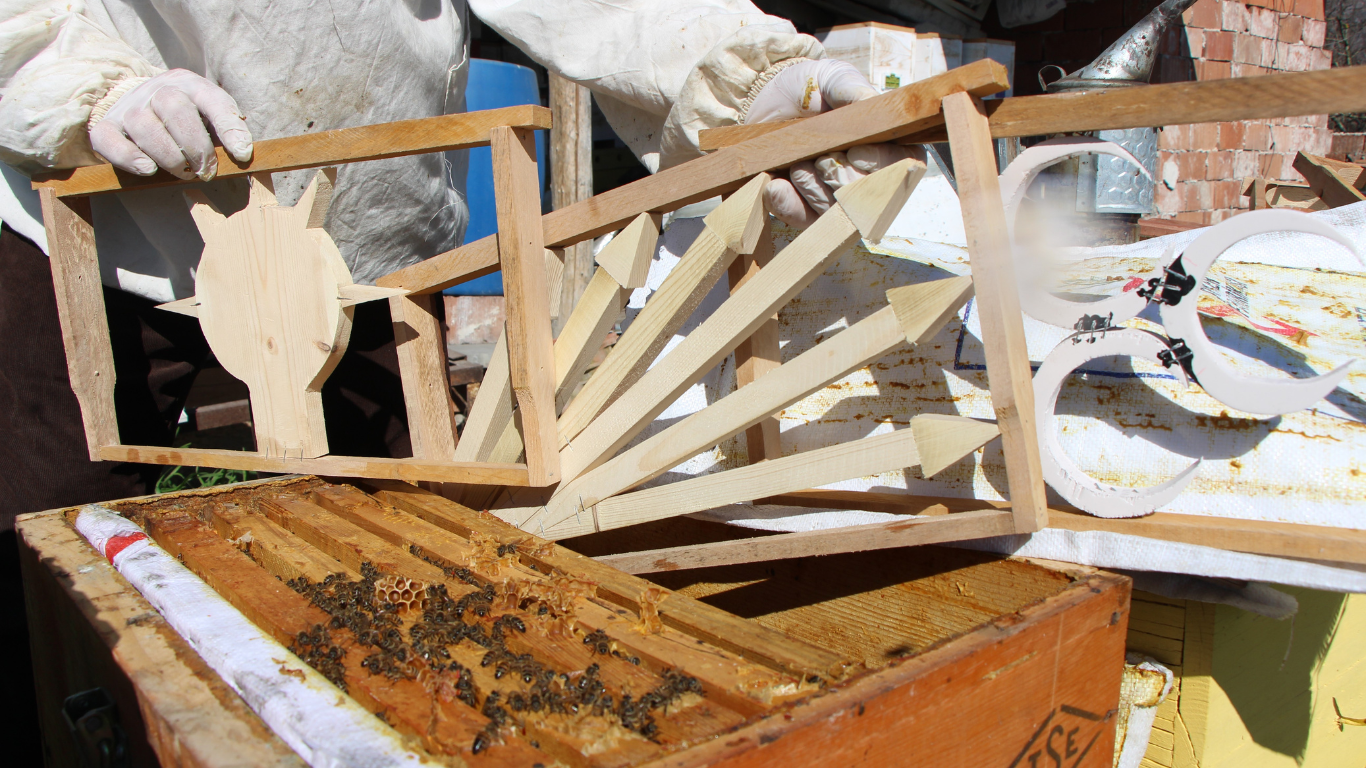 Arılar Arasında Siyasi Rekabet En Dolu Petek Kazandı4