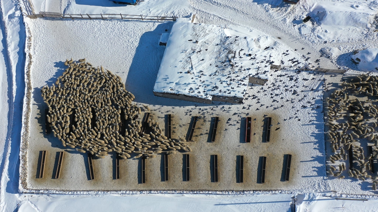 Bakanlık Paylaşım (2)