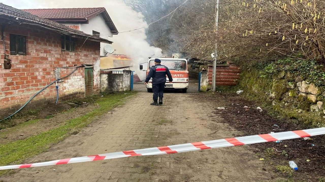 Bartın Yangın Alev (2)