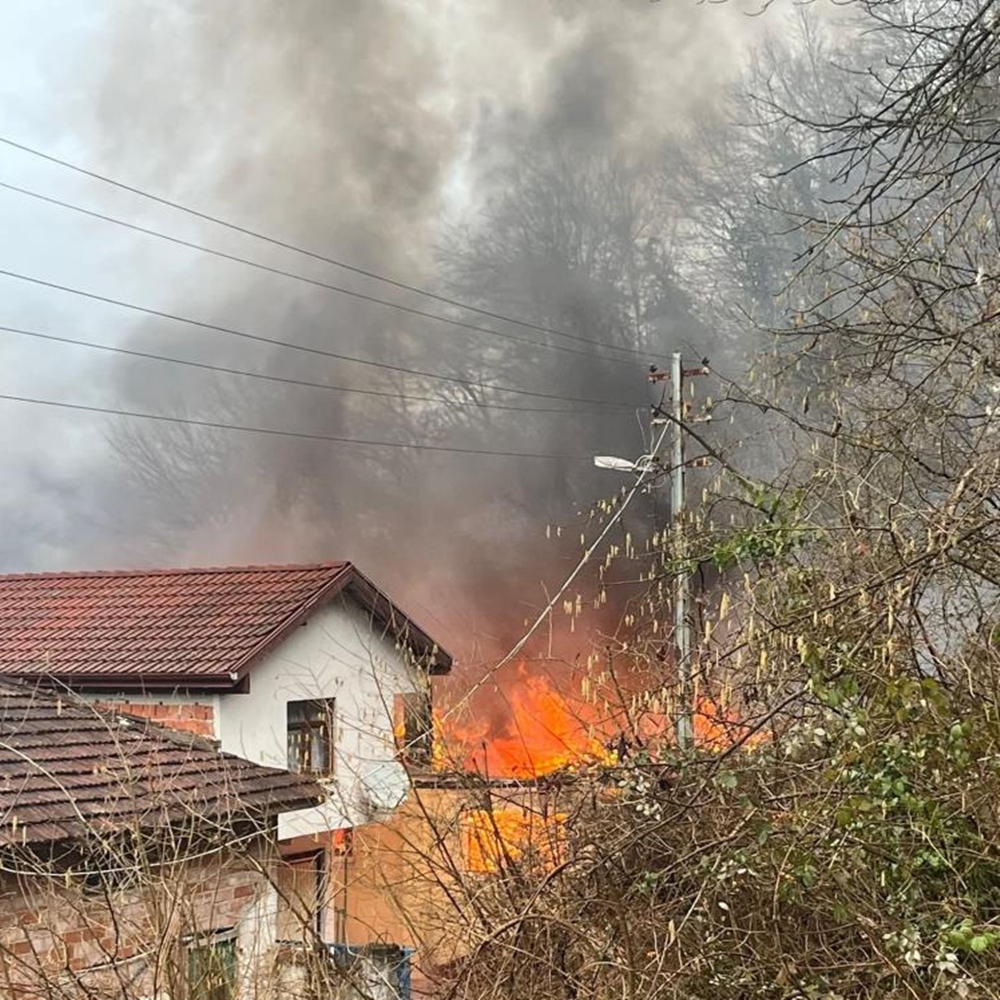 Bartın Yangın Alev (3)