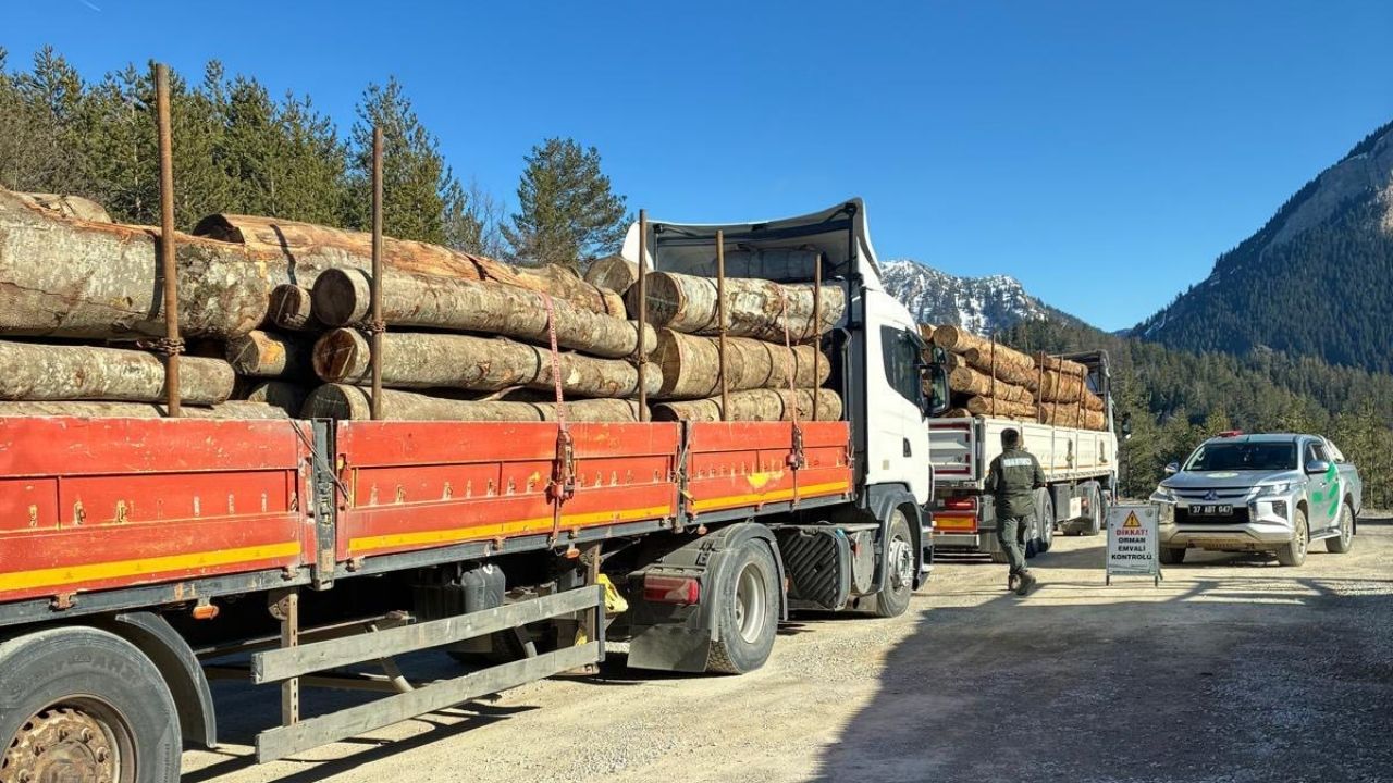 Bozkurt’ta Orman Emvali Denetimi Araçlar Tek Tek Kontrol Edildi (2)