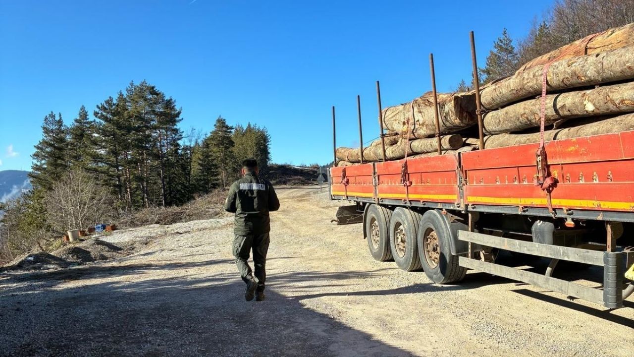 Bozkurt’ta Orman Emvali Denetimi Araçlar Tek Tek Kontrol Edildi (3)