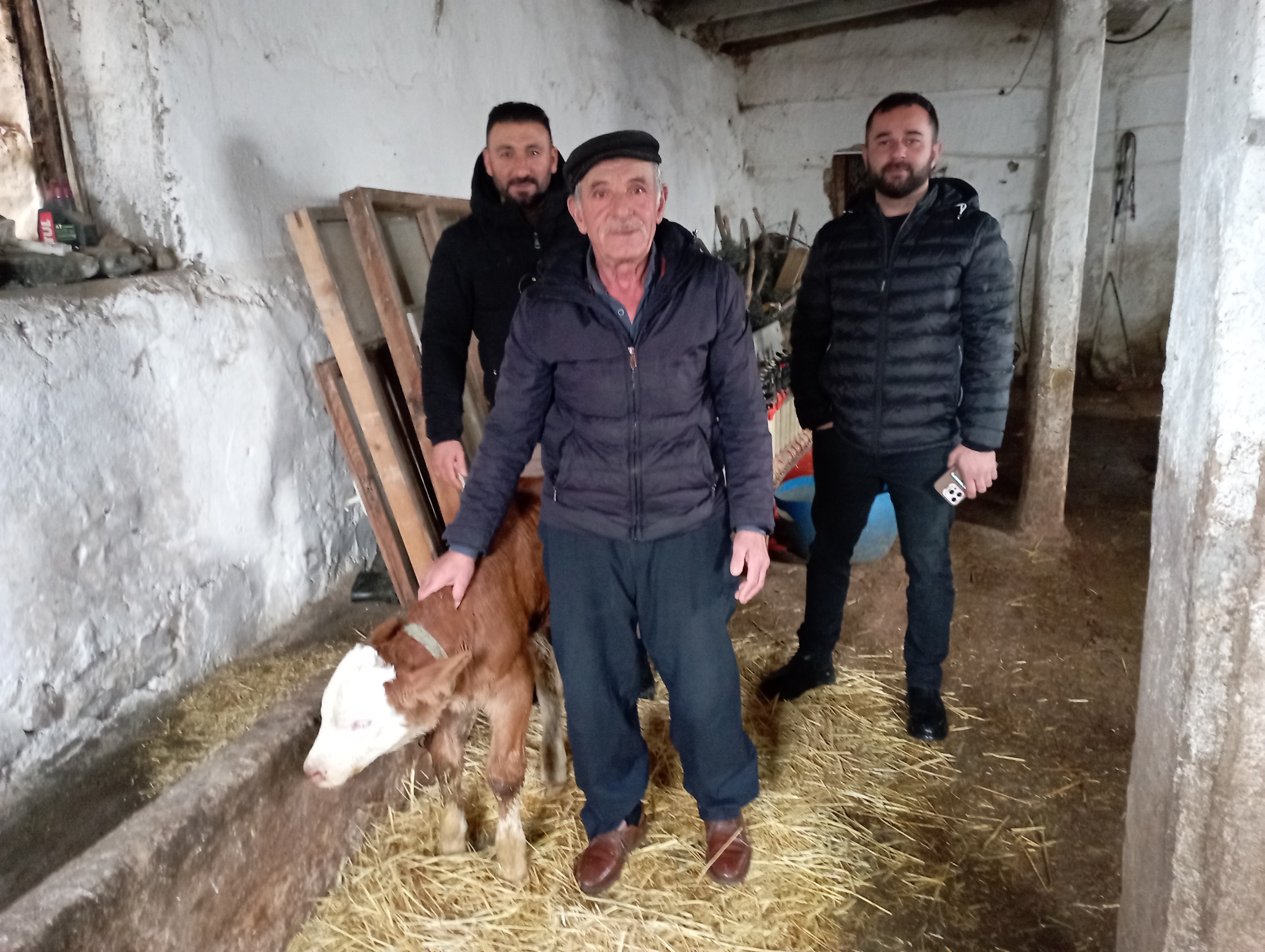 Buzağıyı Ahırdan Eve Taşıdı, Sonrası Herkesi Şaşırttı1